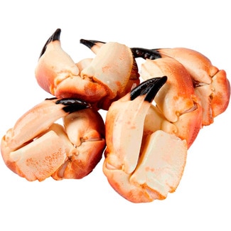 Bocas sapateira Cozida Ultracongelada calibre 12-20 peças kg