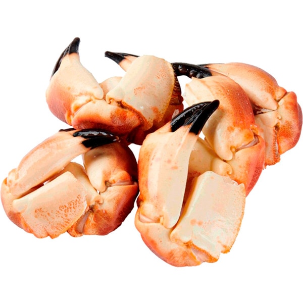 Bocas sapateira Cozida Ultracongelada calibre 12-20 peças kg