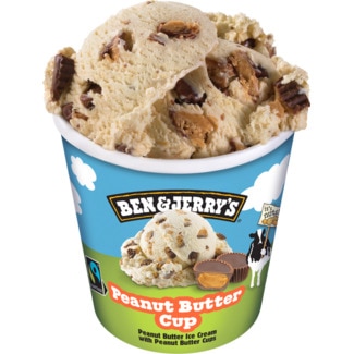Ben & Jerry's Gelado de Manteiga de Amendoim embalagem 465 ml