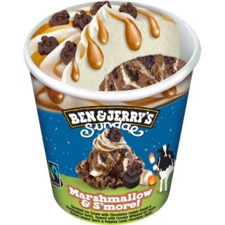 Ben & Jerry's Gelado de Marshmallow & S'More embalagem 427 ml
