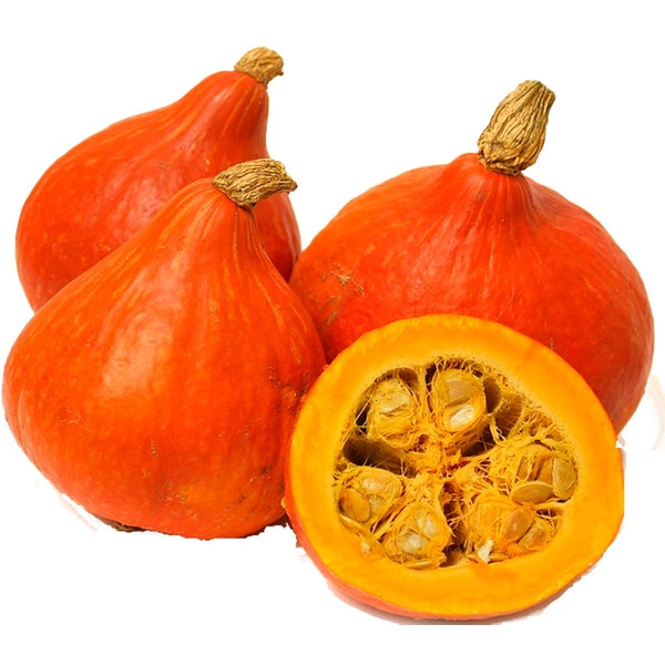 Abóbora Hokaido kg