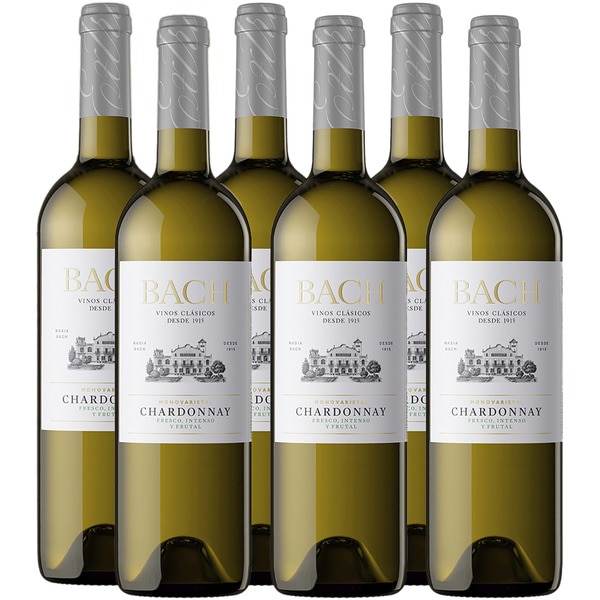 Chardonnay white wine DO Penedès case of 6 bottles 75 cl