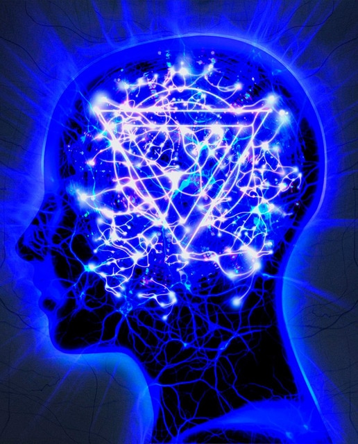 The mindsweep (CD + DVD)
