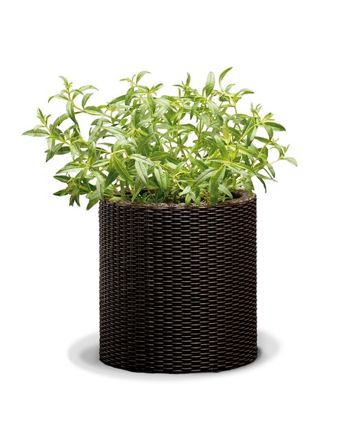 Maceta de material plástico Planter