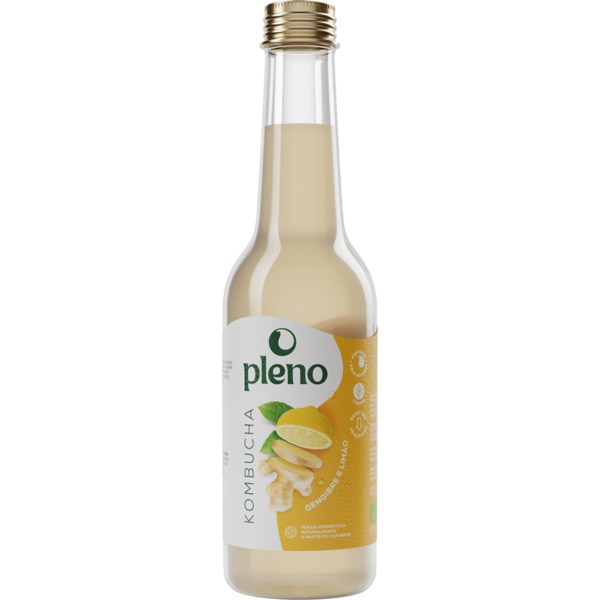 Bebida Chá Fermentado Limão e Gengibre embalagem 250 ml