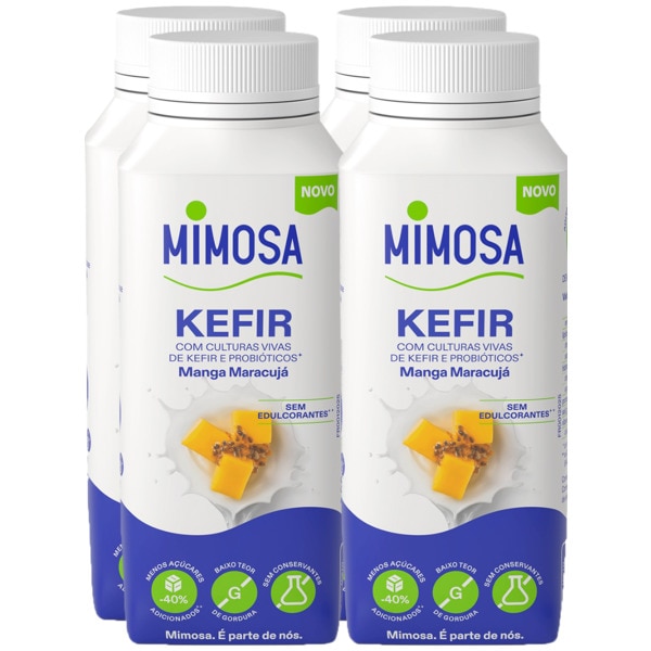 Kéfir Manga e Maracujá 200 g