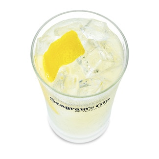 Ginebra Dry Gin botella 70 cl - Seagram's