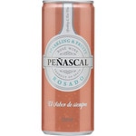 Rosé mit natürlicher Perlung Dose 25 cl