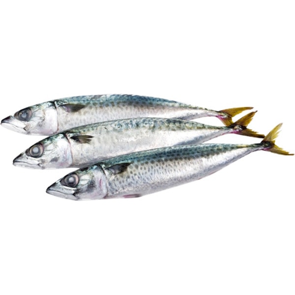 Cavala Inteira Peso Aproximado unidade 150 g