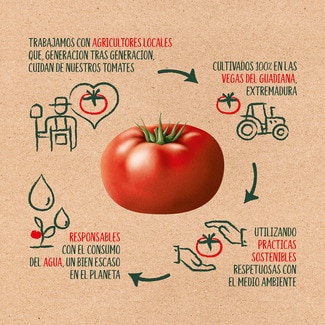 Tomate frito origen Vegas del Guadiana sin gluten frasco 360 g - Solis