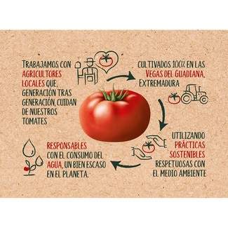Tomate frito origen Vegas del Guadiana sin gluten pack 3 envases 200 g - Solis