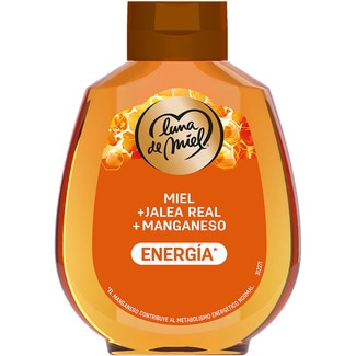 LUNA DE MIEL Honig Energie + Gelée Royale + Mangan Dosierspender 230 g