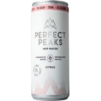 Perfect Peaks Água com Gás Citrus lata 25 cl