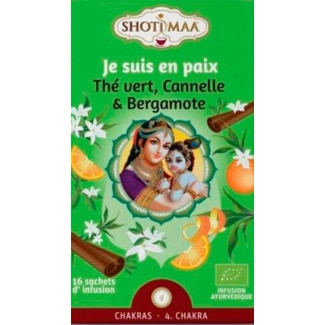 Shoti Maa Infusão Chá Verde, Laranja, Canela embalagem 32 g