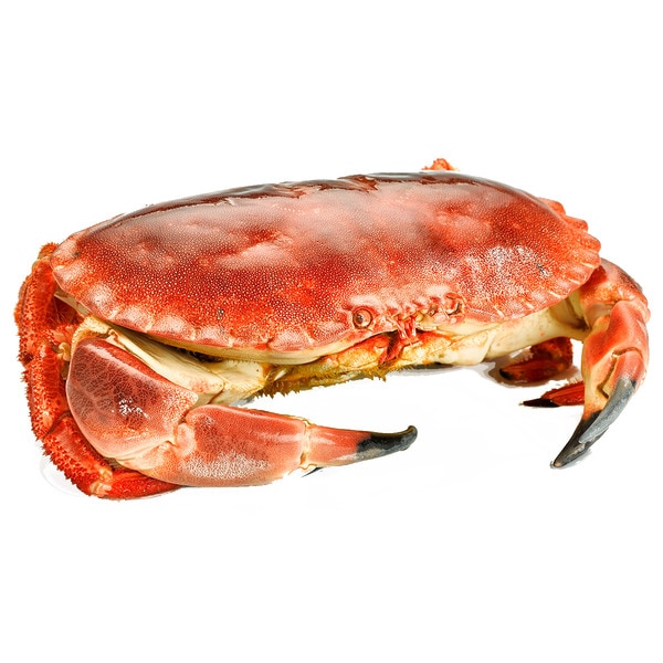 Sapateira Cozida Peso Aproximado unidade 800 g