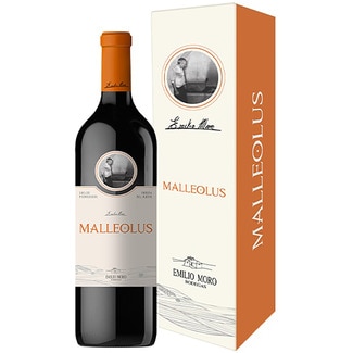 MALLEOLUS Tempranillo reserva red wine DO Ribera del Duero magnum 1,5 l