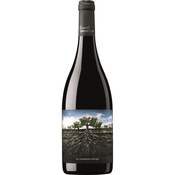 La Garnacha Salvaje del Moncayo red wine Vino de la Tierra Ribera del Queiles bottle 75 cl