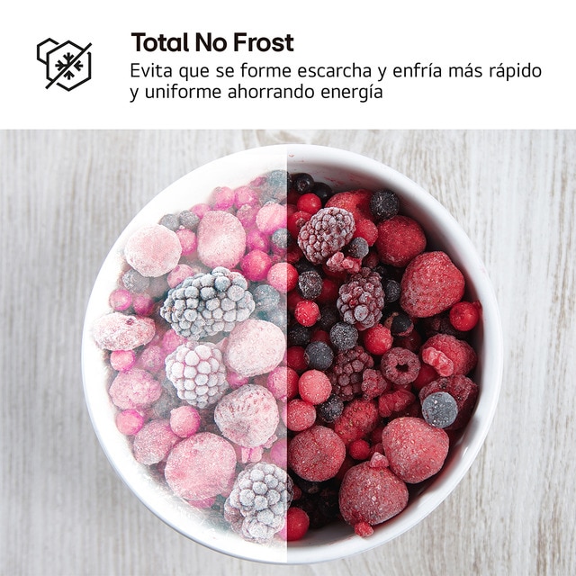 Thumbnail 4 de LG GTBV22SWNJ frigorífico Total No Frost 35 dB