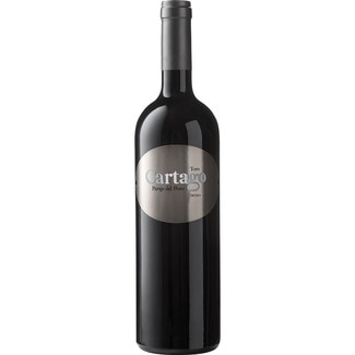 CARTAGO Paraje del Pozo red wine DO Toro bottle 75 cl