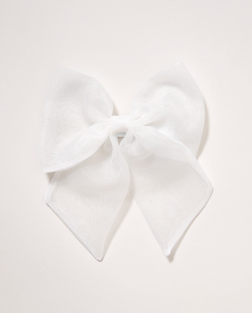 Lazo zapatero continuidad