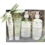 Box Wellness Time Olive mit Body Wash + Bodylotion + Handcreme + Body Scrub