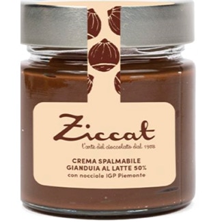 Ziccat Creme Avelã e Chocolate frasco 220 g