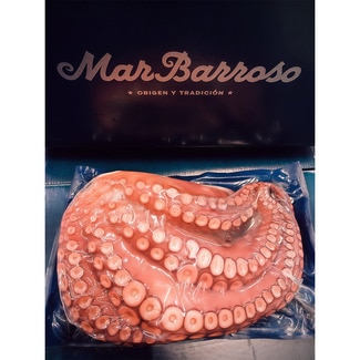 MAR BARROSO medio pulpo cocido al vacío peso aproximado bandeja 1,5 kg