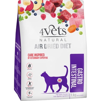 4VETS Veterinary Diets Natural Gastrointestinal adult cat food beef and turkey container 1 kg
