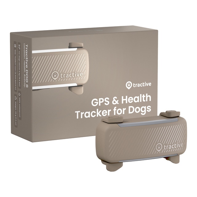Tractive – Gps para perros TRDOG6BR Tractive. Marrón Talla Única