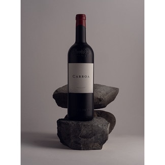 Vino tinto reserva de Protos DO Ribera del Duero botella 75 cl - Carroa