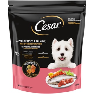 CESAR pienso para perros mini pollo y salmón envase 1,4 kg