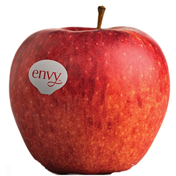 Maçã Samboia Tradicional Granel kg