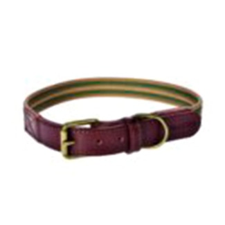 Fred & Rita Coleira Verde L 2.5x43-53CM 1 unidade