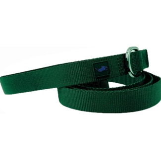 Ralph Lauren Trela Verde para Cão L 1 unidade