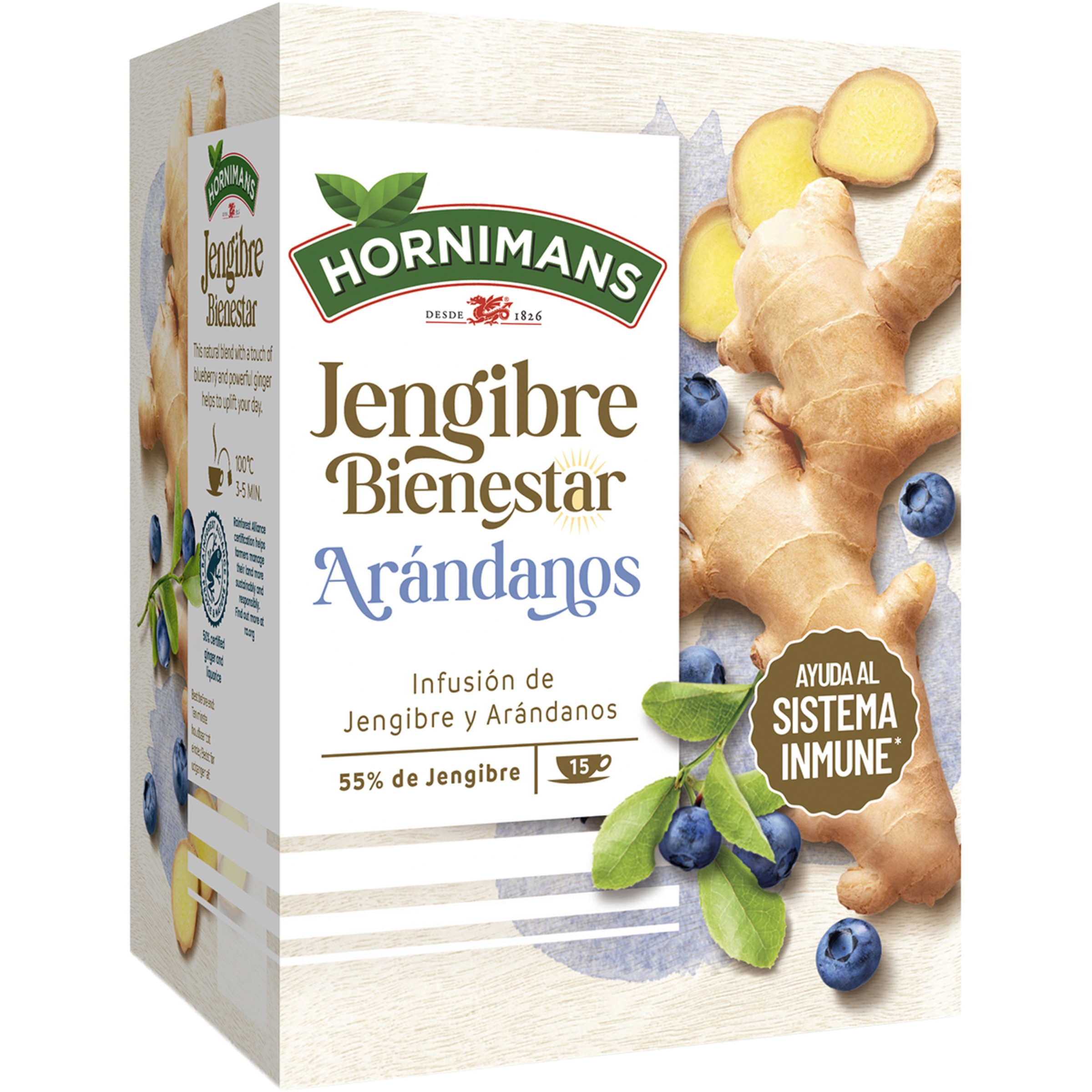 Bienestar infusión de jengibre y arándanos