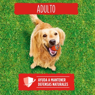 Pienso para perros adultos con buey, cereales y verduras saco 15 kg - Friskies