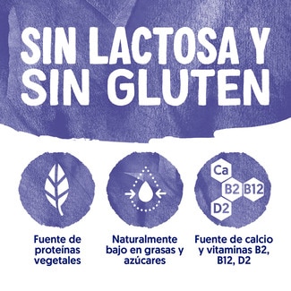 Especialidad vegetal de soja con arándanos pack 4 unidades 125 g sin gluten sin lactosa - Alpro
